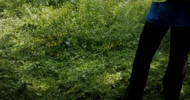 Arbeiter mäht das Gras auf dem Rasen mit einem Benzinmäher, Zeitlupe — Stockvideo