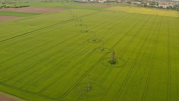 Légi drón nézet repülés felett zöld virágzó mező repcemag elektromos vezetékek és vezetékek traktor pályák napsütéses tavaszi vagy nyári napon. — Stock videók