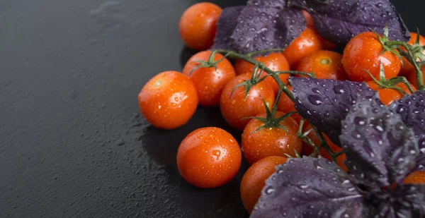 Os tomates cereja e folhas de manjericão na árvore preta — Fotografia de Stock