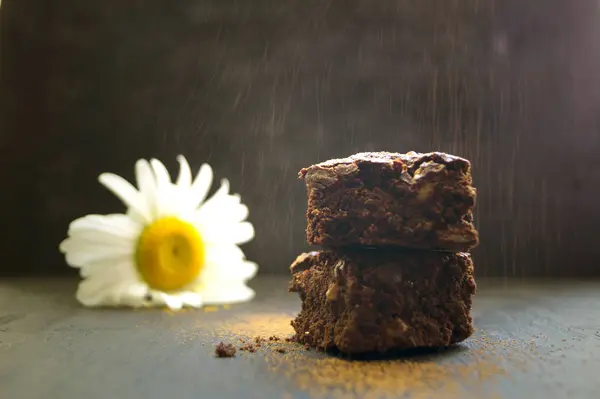 Brownie em um fundo escuro. foco seletivo — Fotografia de Stock