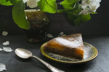 ev yapımı kayısı kek karanlık bir arka plan üzerinde.