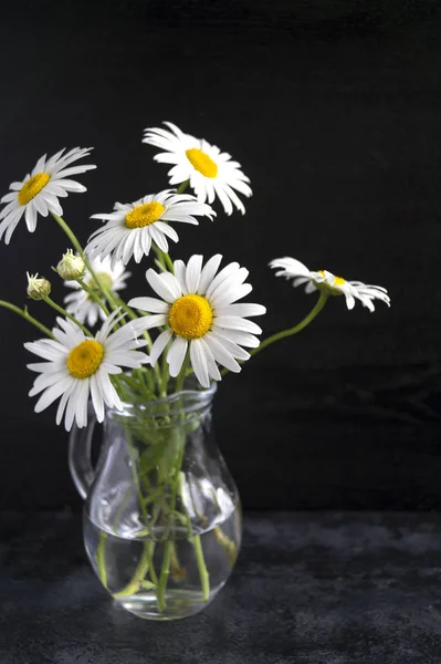 Leucanthemum vulgare в стеклянном кувшине на черном фоне . — стоковое фото