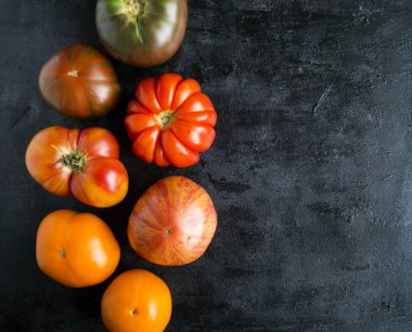 Siyah bir arka plan üzerinde farklı çeşitlerinin domates.