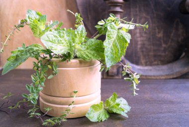 Nane ve kekik bir ahşap tablo.