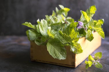 Siyah bir zemin üzerine nane demet.