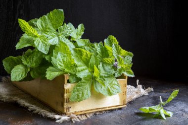 Bir demet nane ahşap kutusunda.
