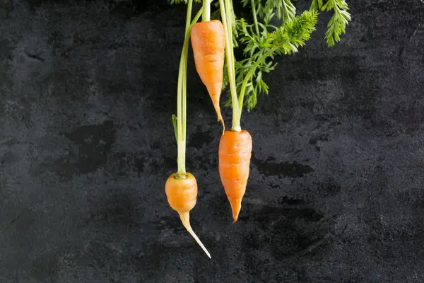 Raw carrots on a black background. — Stock Photo, Image