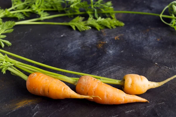 Ripe fresh carrots on a dark background — Stock Photo, Image