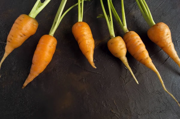 Ripe fresh carrots on a dark background — Stock Photo, Image