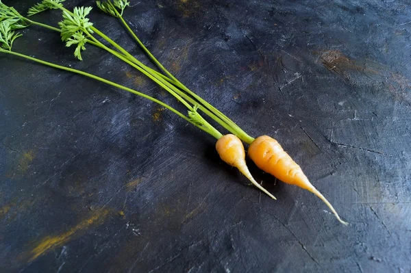 Fresh ripe carrots. black background — Stock Photo, Image