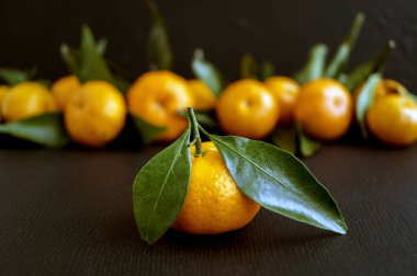 Siyah arka planda olgun mandalinalar.