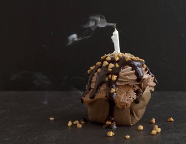 şenlikli bir pastayı bir mum üfledi.