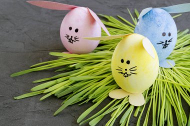 Paskalya yumurta gri arka plan üzerinde renkli.