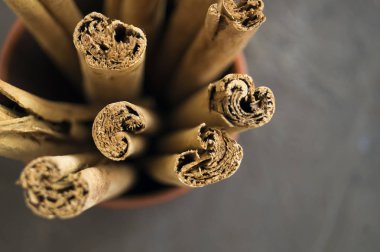 Karanlık bir arka plan üzerinde Seylan tarçın kokulu sopa.