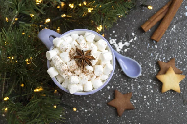 Weihnachtskakao mit Marshmallows und hausgemachten Plätzchen. — Stockfoto