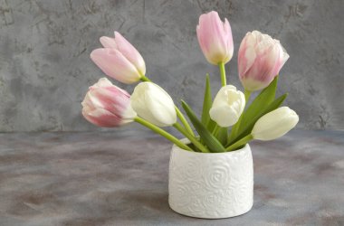 white and pink tulips in a white vase.
