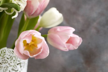 white and pink tulips in a white vase.