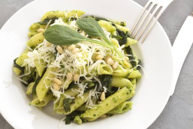 Ispanaklı gri arka Penne makarna