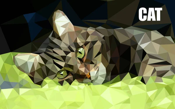 Cat relax carpet low poly — Stock Vector
