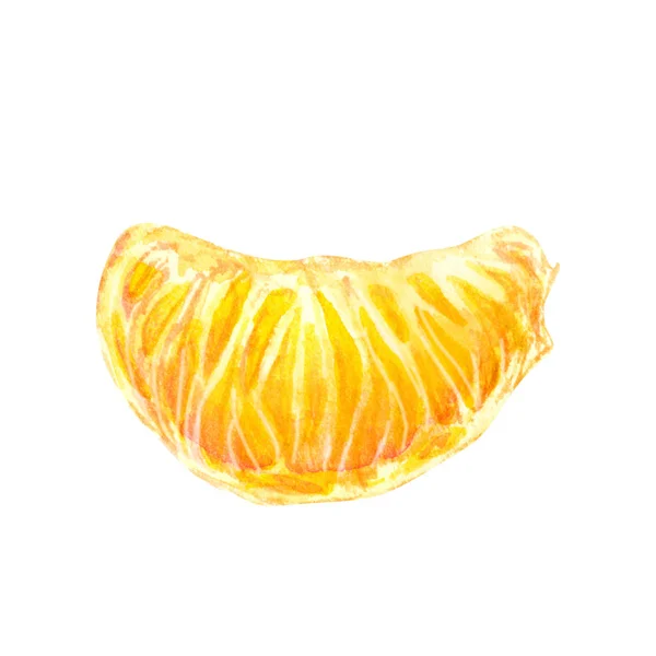 Mandarinenlobule Aquarell Zitrusfrüchte, Orangensegment, botanische Malerei. Illustration — Stockfoto