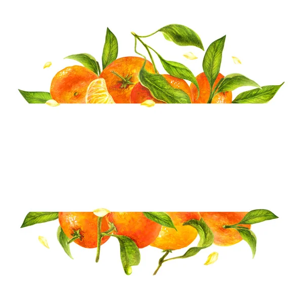 Мандарин и зеленые листья акварели шаблон карты, рамка цитрусовых, оранжевый, ботаническая живопись — стоковое фото