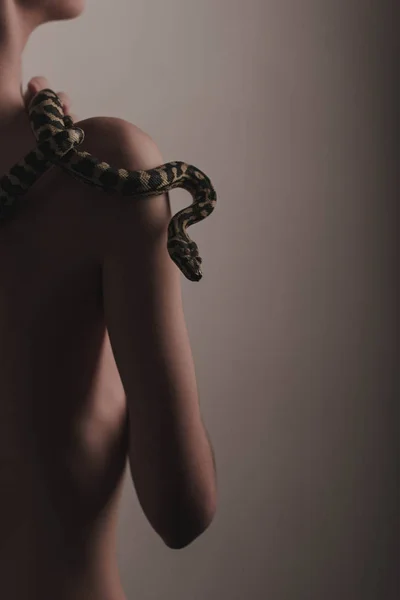 snake on the body