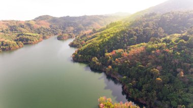 Dağ ve orman, baraj havadan görünümü