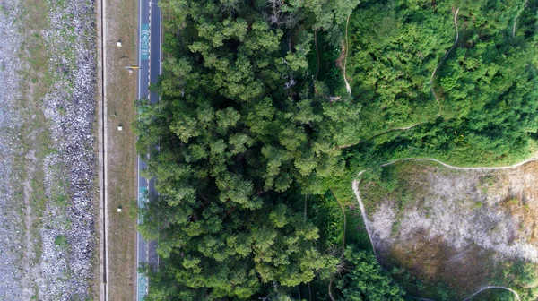 Havadan görünümü yol ile yukarıda, orman ve dağlar — Stok fotoğraf