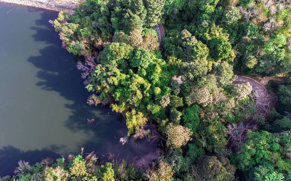 Вид с воздуха на озеро и лес — стоковое фото