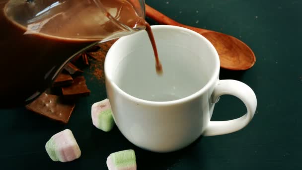 Cup of hot chocolate, cinnamon sticks, marshmallows a — Stock Video