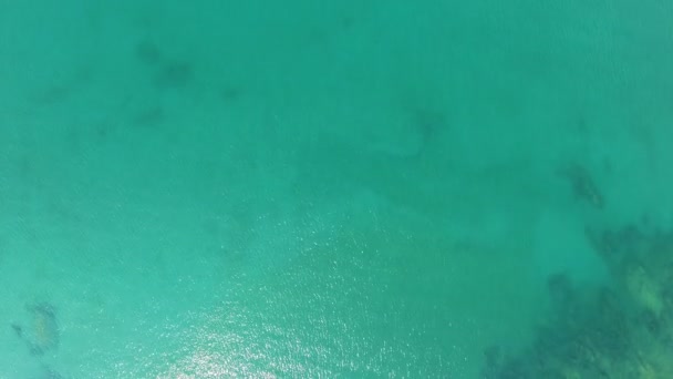 Vue aérienne panoramique des oiseaux survolant la mer dans la mer d'Andaman, Patong Phuket Sud de la Thaïlande — Video