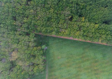 Havadan Para kauçuk ağacı, kauçuk Plantation ve yerel yol