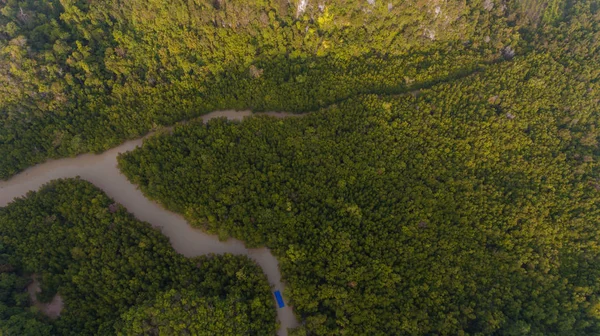 Mangrove ormanının ve nehrin havadan görünüşü — Stok fotoğraf