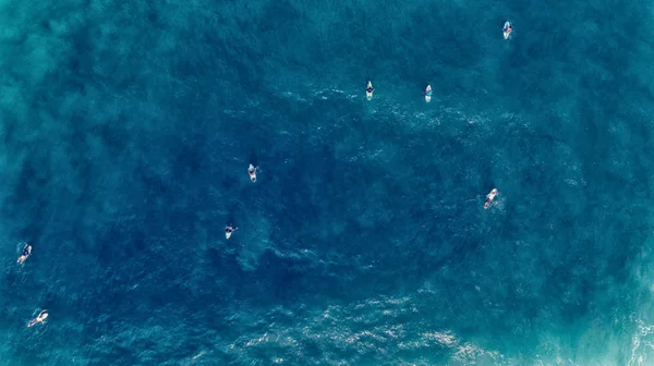 Vista aérea do Surfista nadando a bordo perto de enorme onda azul do oceano — Fotografia de Stock