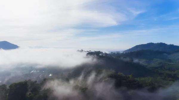 Morning fog in dense tropical rainforest, south of Thailand — Stock Photo, Image