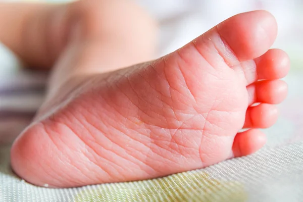 Closeup newborn Baby foot — Stock Photo, Image