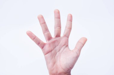 Beş parmak işareti, el işareti kavramı