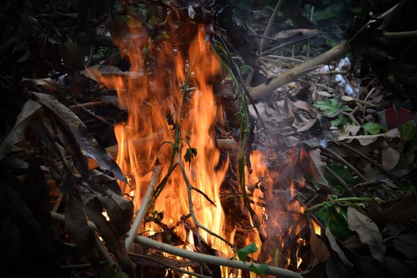 Clos encima del fuego, las llamas brillantes — Foto de Stock