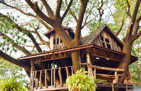 Arka plan ağaç evin bahçesinde — Stok fotoğraf