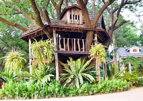 Arka plan ağaç evin bahçesinde — Stok fotoğraf