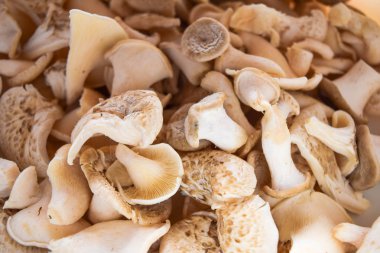 arka plan doku mantar kapatın