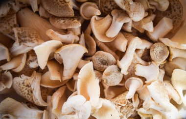 arka plan için mantar kapatın