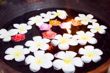 Tay masajı, Spa-donatımı