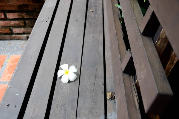 Plumeria Çiçek bahçesinde ahşap masa koymak — Stok fotoğraf