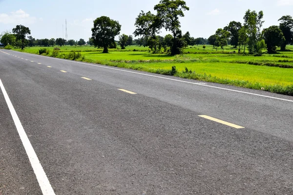 Vista natural da paisagem da estrada rural campo de paddy nas proximidades — Fotografia de Stock