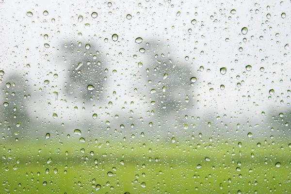 Капли воды на стекло, капли дождя на стекло на фоне зеленого поля — стоковое фото
