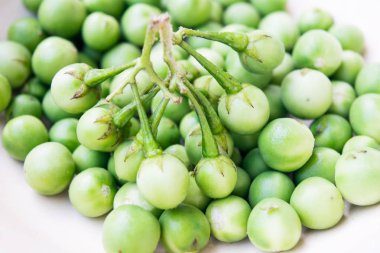 patlıcan, Türkiye berry, Solanum torvum arka plan