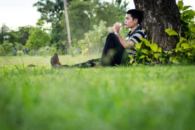 rahatlatıcı ve parkta ağaç altında smartphone kullanarak dostum