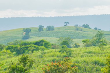 Wang Nam Khiao, Nakhon Ratchasima, Tayland Tayland Dağ Manzaralı