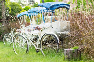 eski beyaz Tay çekçek üç döngüsü